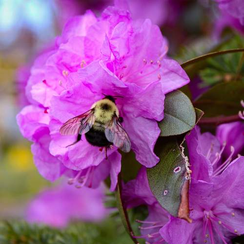 Photo #11743575