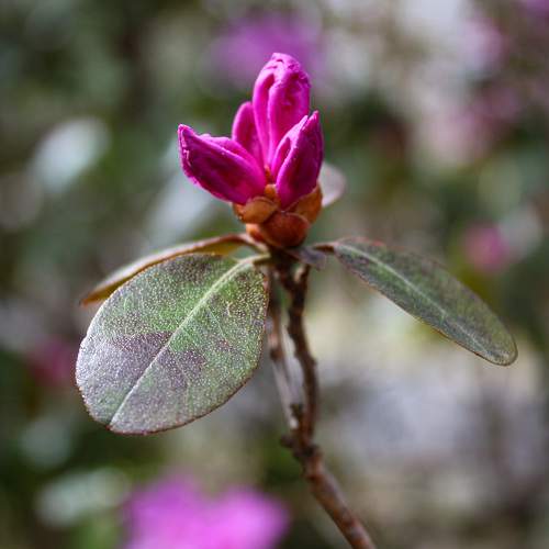 Photo #11743578