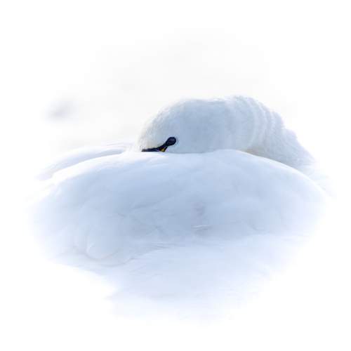 Keeping warm