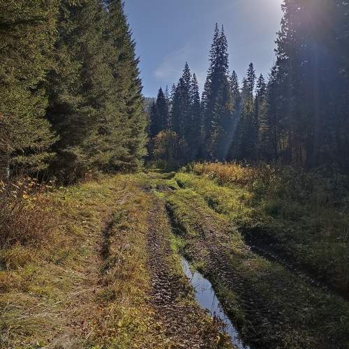 Photo #11743711