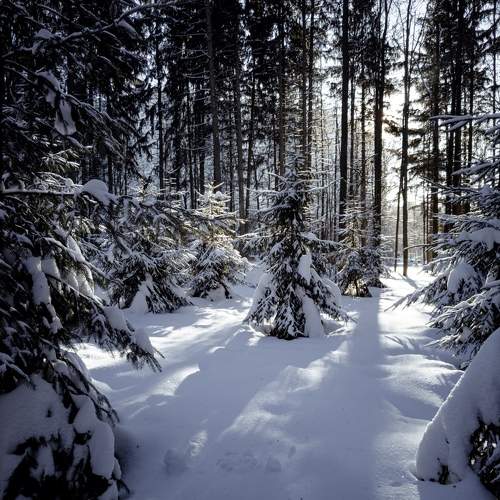 Photo #11744023