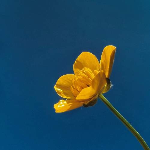 Photo #11744253