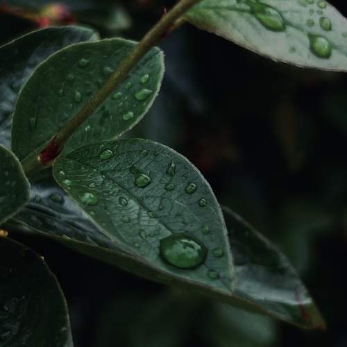 Photo #11744260