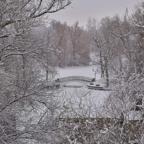 Графика зимнего парка