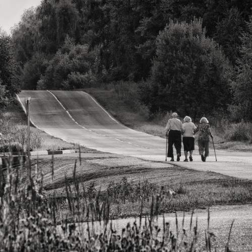 Photo #11744534