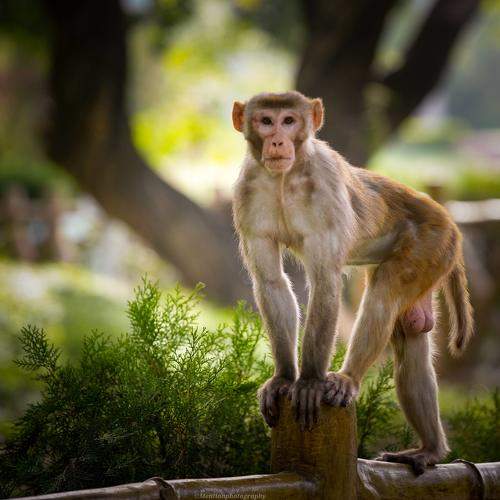 Photo #11744628