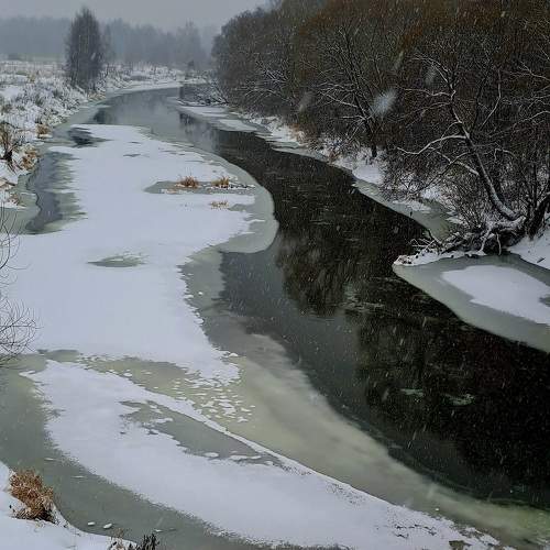 Photo #11744903