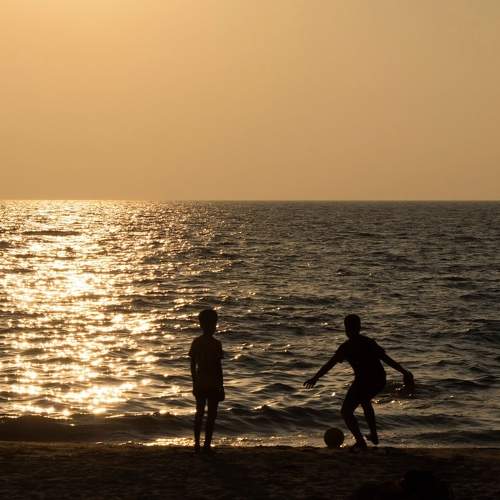 Photo #11744914