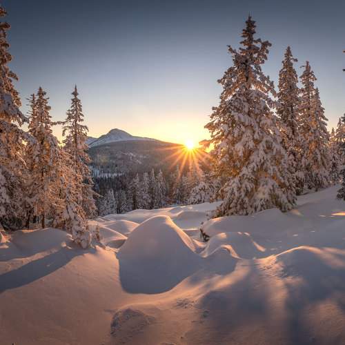 Photo #11744948