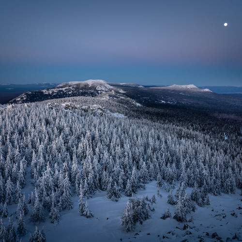 Photo #11744949