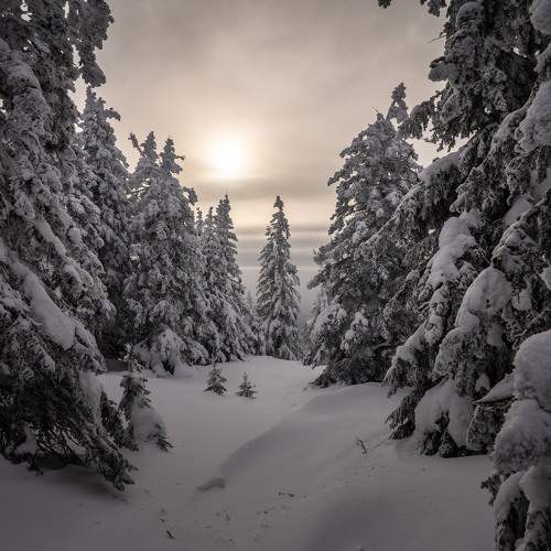 Photo #11744957