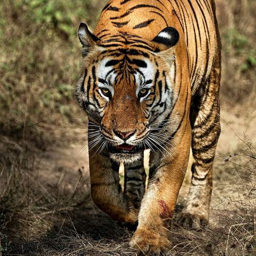 Photo #11745053