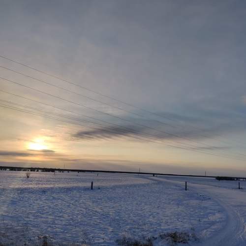 Photo #11745055