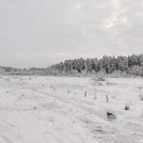 Photo #11745062
