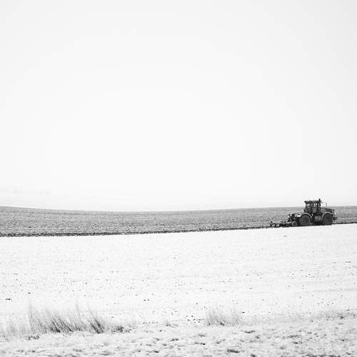 Photo #11745585