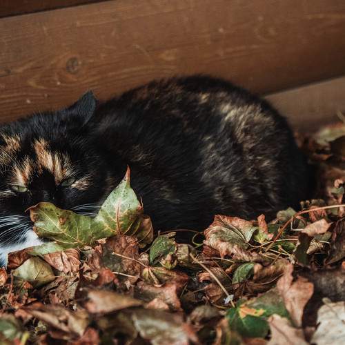 Photo #11745678