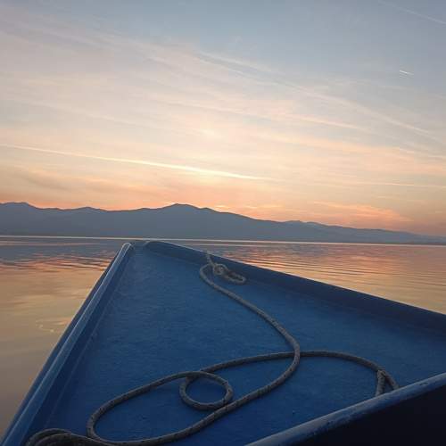 Photo #11745758
