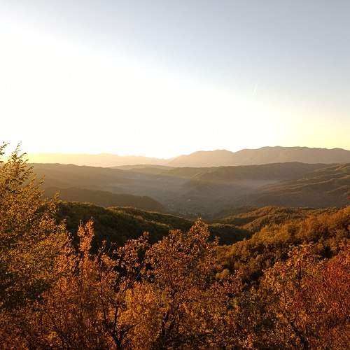 Photo #11745766