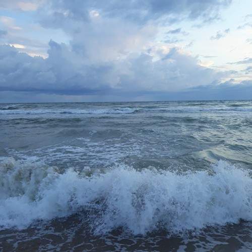 Photo #11745787