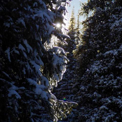 Photo #11745811