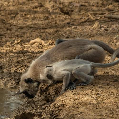 Photo #11745844
