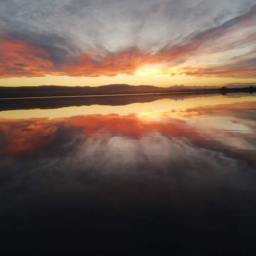 Photo #11745878