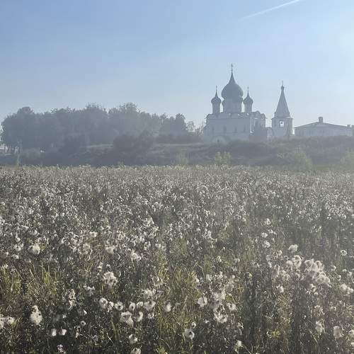 Photo #11745963