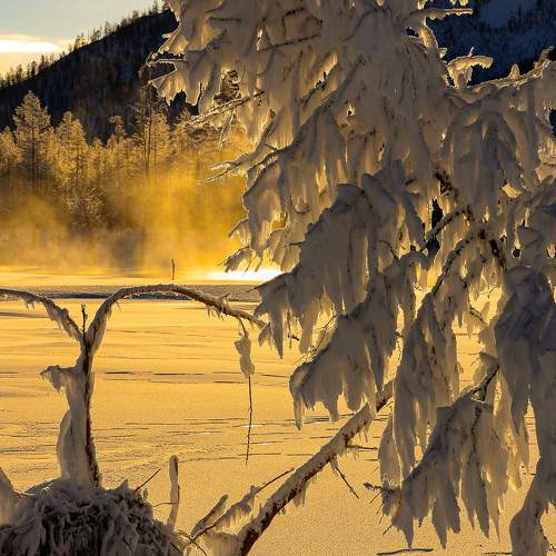 Photo #11746102