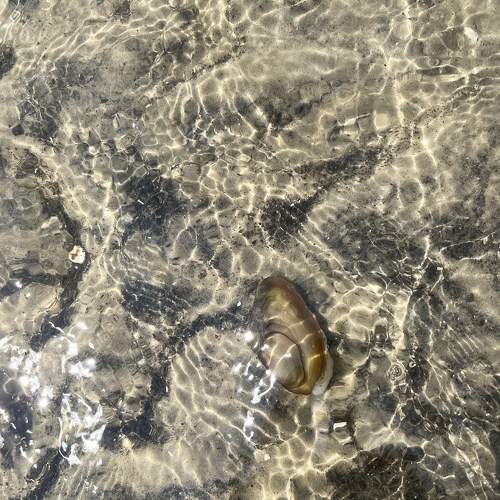 Photo #11746223