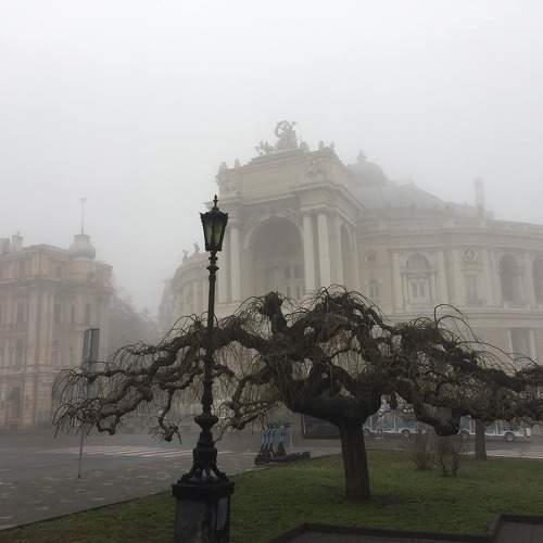 Photo #11746396