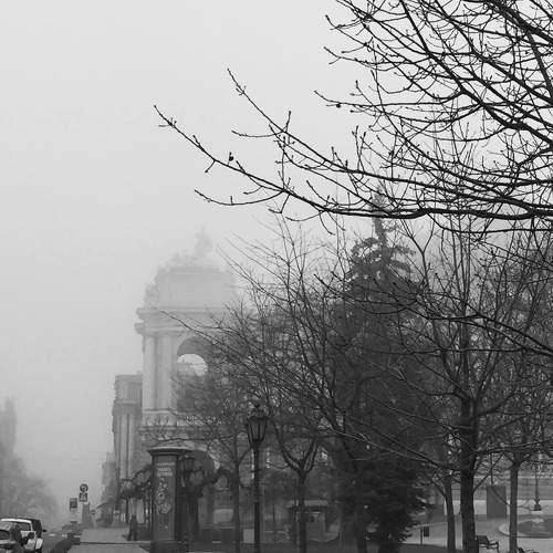 Photo #11746402