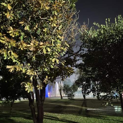 Photo #11746507