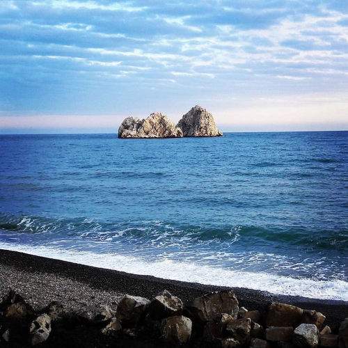 Photo #11746525