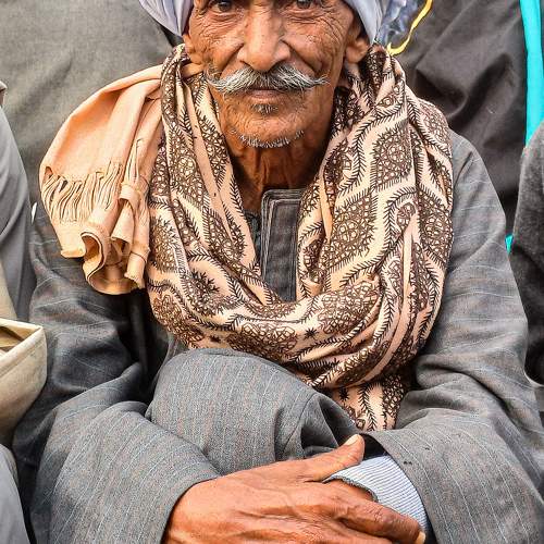 Photo #11746654