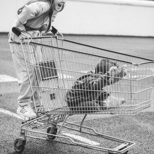 Photo #11746941
