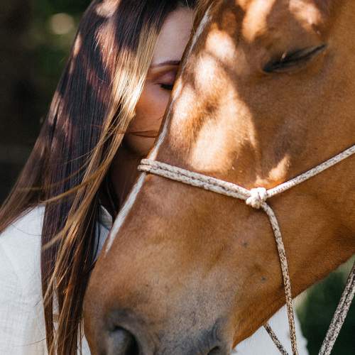 Photo #11746942
