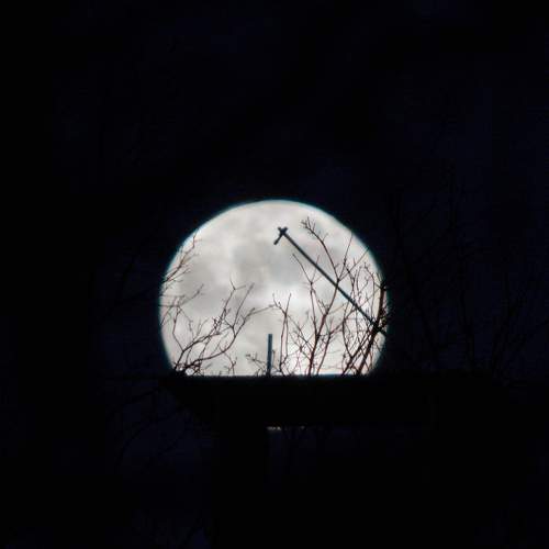 Photo #11747249