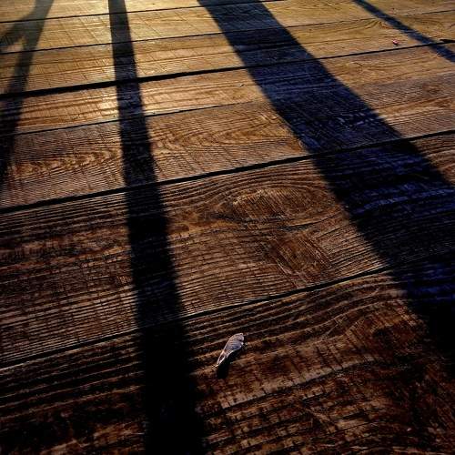 Photo #11747986