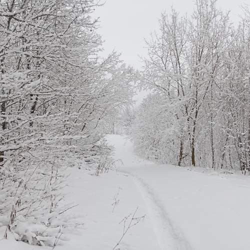 Photo #11748003