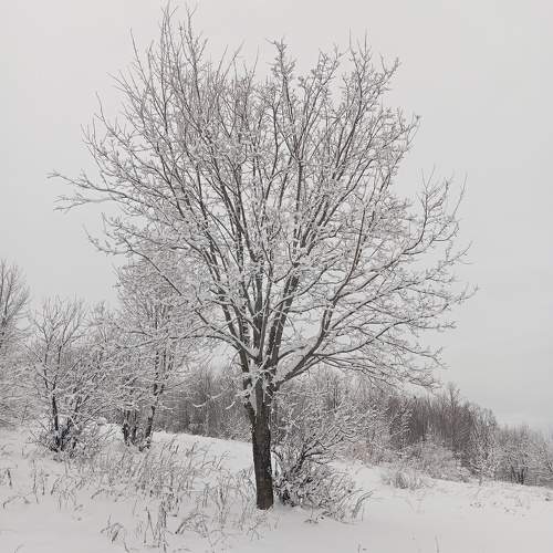 Photo #11748004