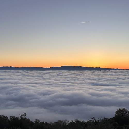 Photo #11748032