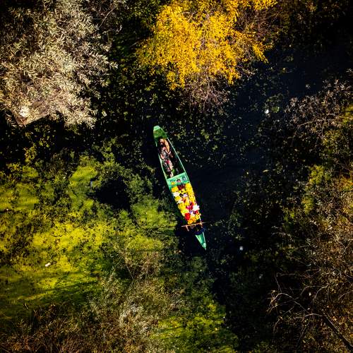 Photo #11748057
