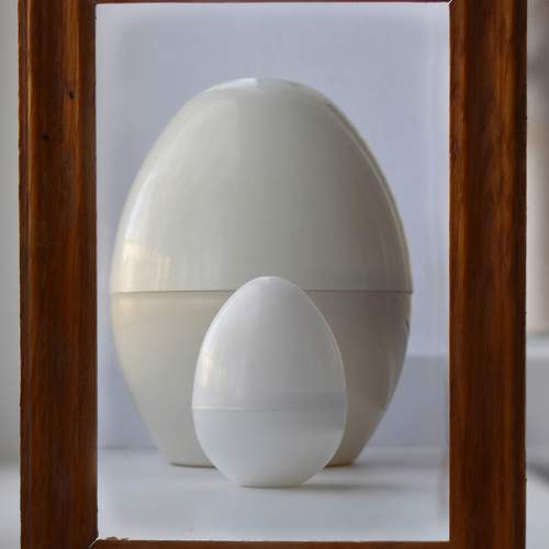 Photo #11748256