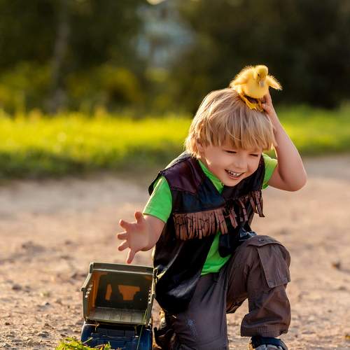 Photo #11748391
