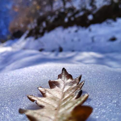 Photo #11748415