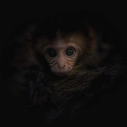 Photo #11748441