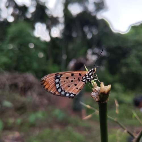 Photo #11748551
