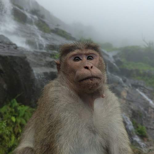 Photo #11748576