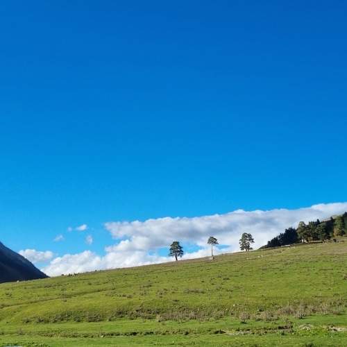 Photo #11748720