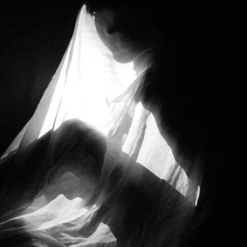 Photo #11748784